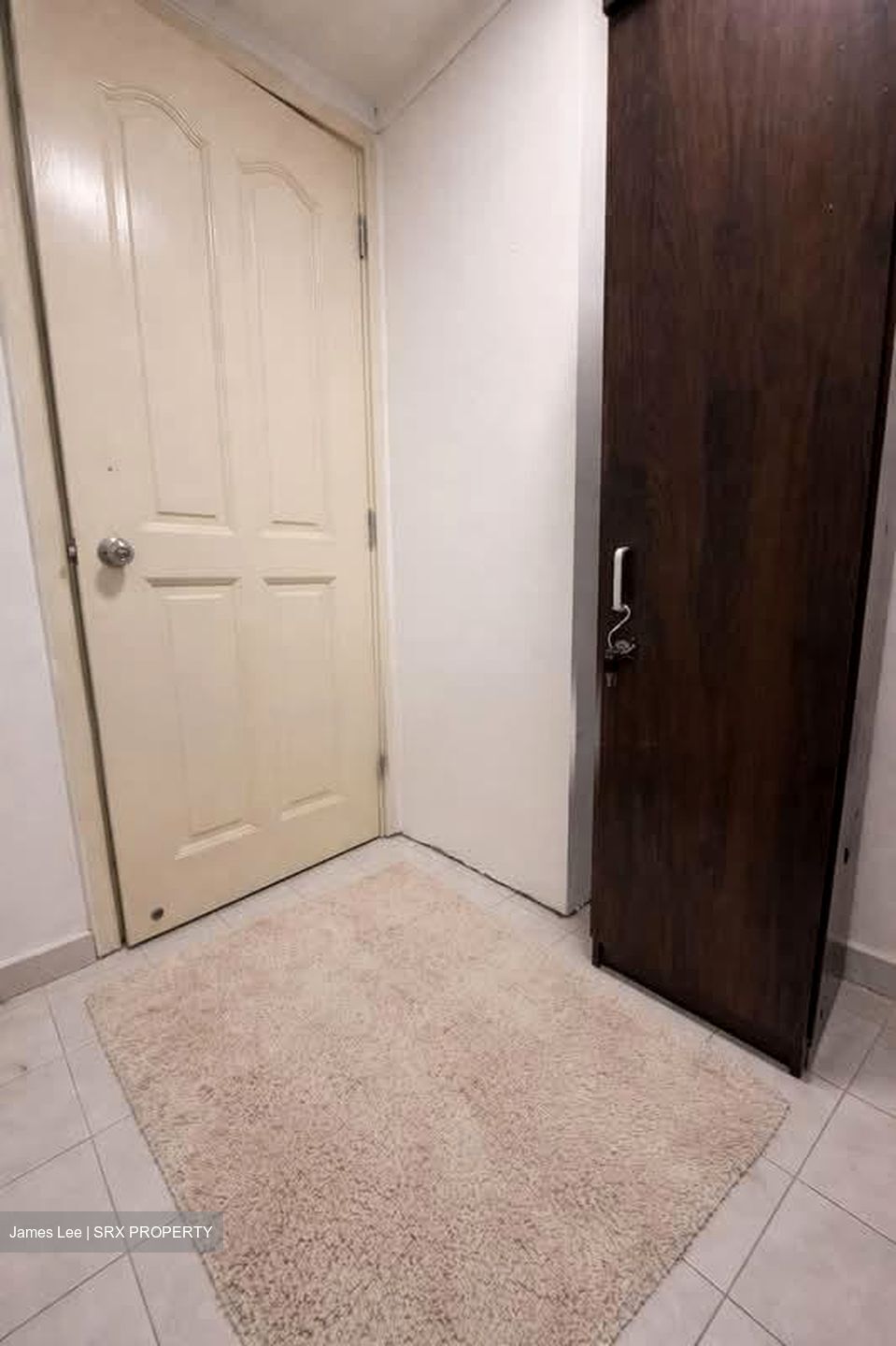 The Sunny Spring (D14), Apartment #547839191